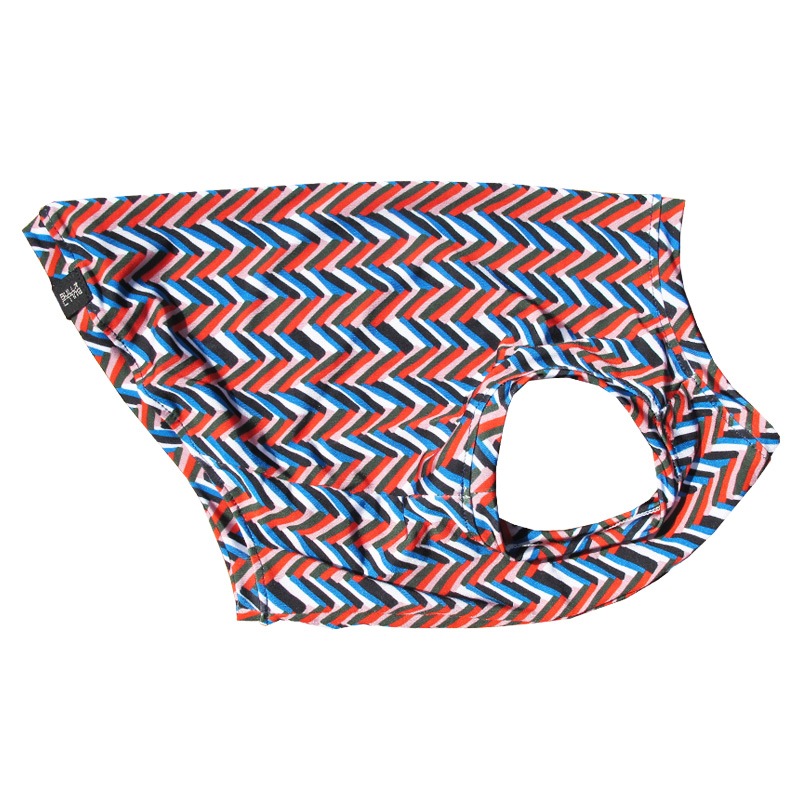 ����ե륿�󥯥ȥåס�T�����2��or���󥯥ȥå�1���T�����1��ϥ᡼���زġ�