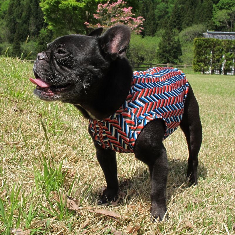 ����ե륿�󥯥ȥåס�T�����2��or���󥯥ȥå�1���T�����1��ϥ᡼���زġ�