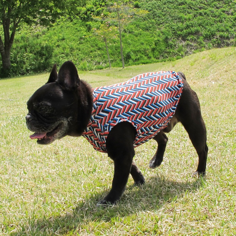 ����ե륿�󥯥ȥåס�T�����2��or���󥯥ȥå�1���T�����1��ϥ᡼���زġ�