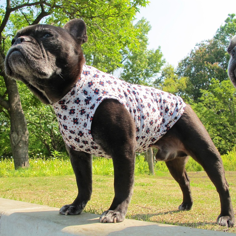 ���֡ߥɥåȥץ��ȥ��󥯥ȥåס�T�����2��or���󥯥ȥå�1���T�����1��ϥ᡼���زġ�