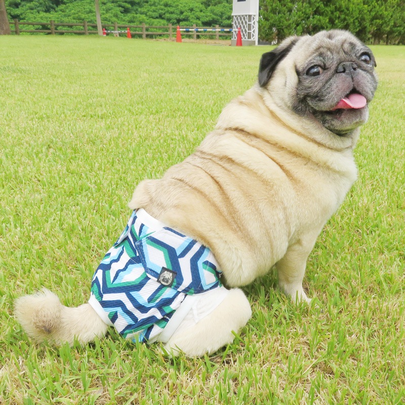 ����ĥ��С���������������ˡڥ᡼���زġ�