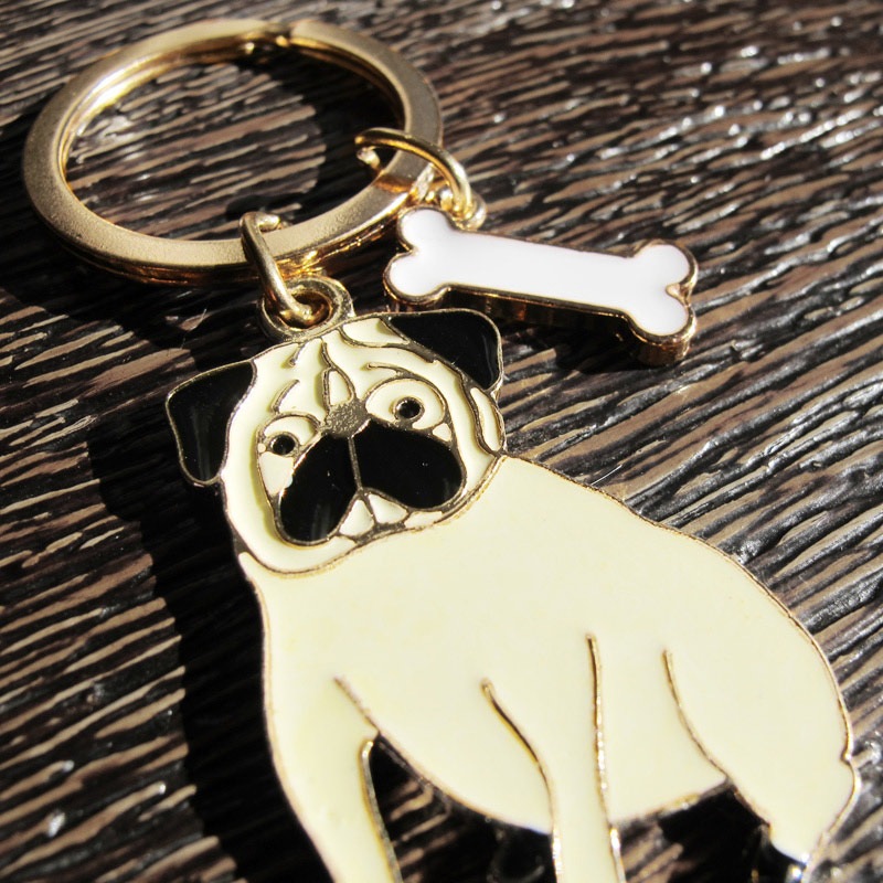 �ѥ������ۥ�����ڥ᡼���زġ�