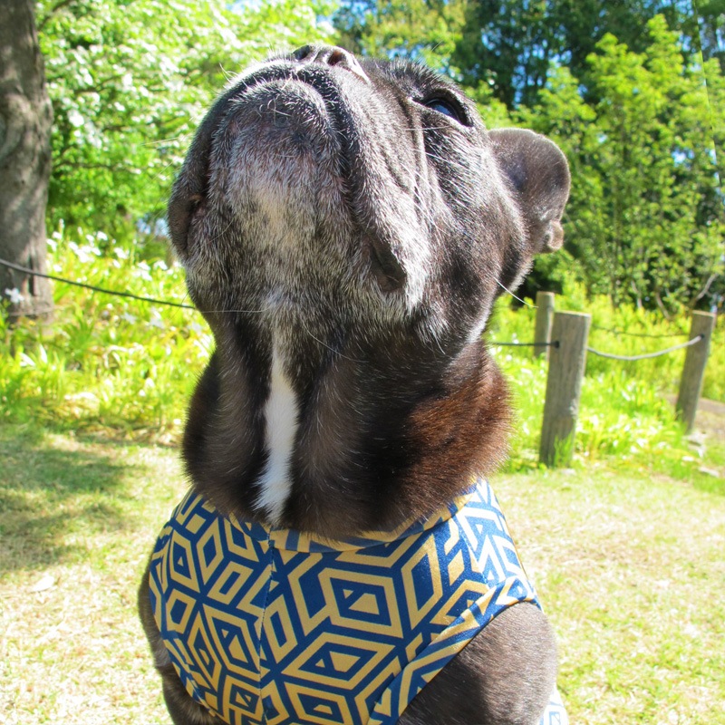 ĤSΤߡΩΥܥåƤĤʤڲƤĤʤ2orƤĤʤ1T()1ϥ᡼زġ