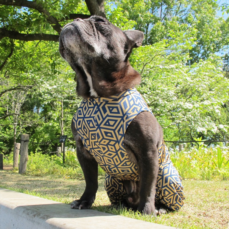 ĤSΤߡΩΥܥåƤĤʤڲƤĤʤ2orƤĤʤ1T()1ϥ᡼زġ