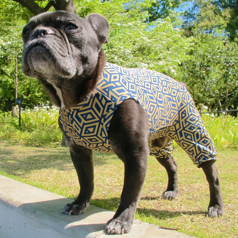 ĤSΤߡΩΥܥåƤĤʤڲƤĤʤ2orƤĤʤ1T()1ϥ᡼زġ