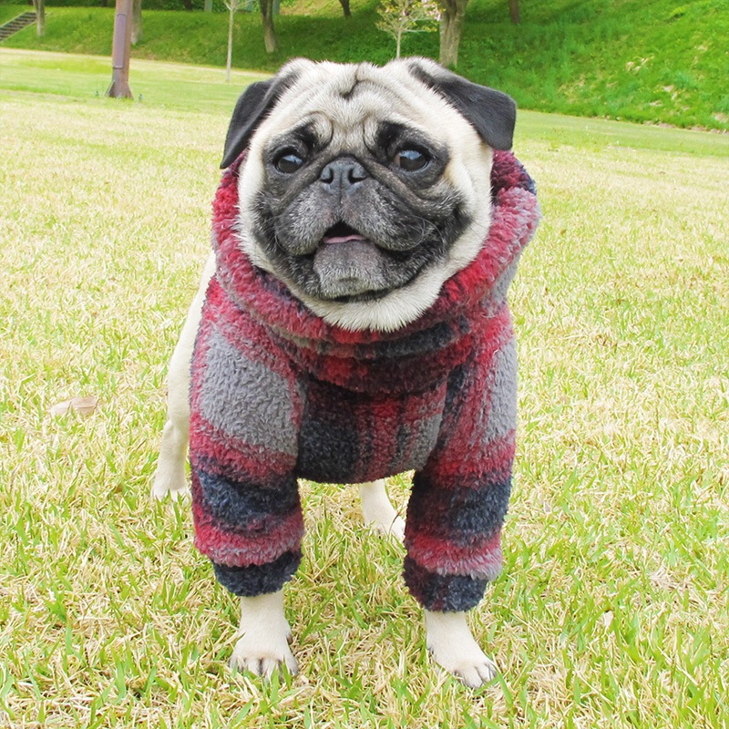 ���֥�ե������ե꡼���Τդ�⤳�ȥ졼�ʡ��ڥ᡼�����Բġ�