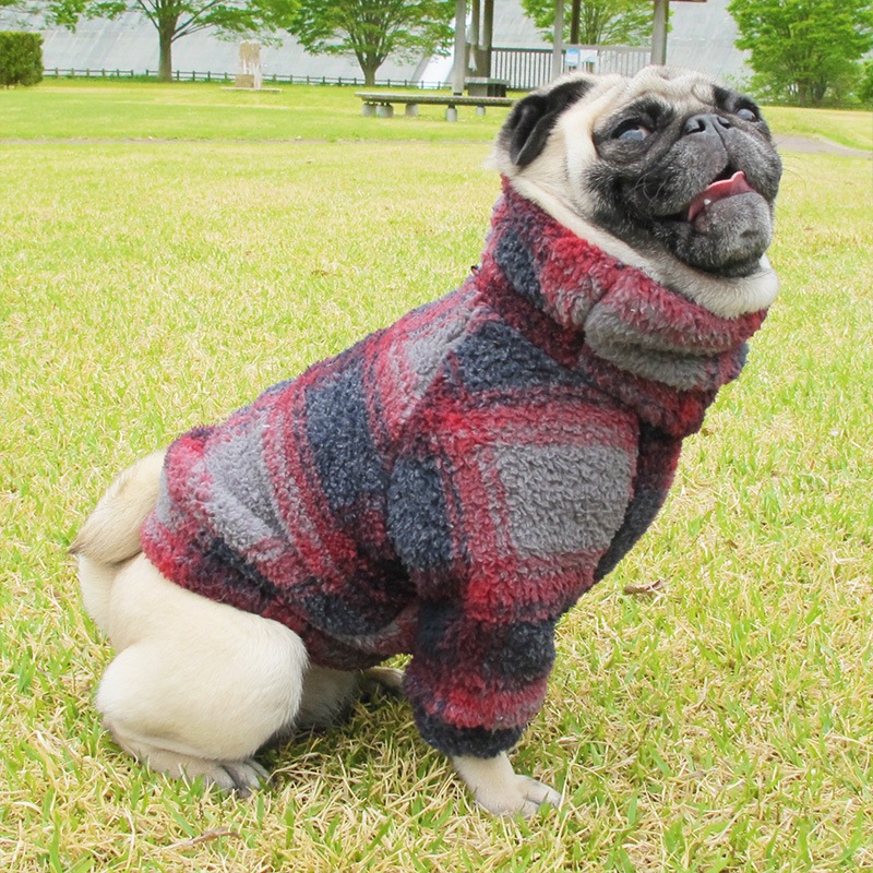 ���֥�ե������ե꡼���Τդ�⤳�ȥ졼�ʡ��ڥ᡼�����Բġ�