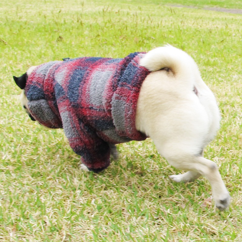 ���֥�ե������ե꡼���Τդ�⤳�ȥ졼�ʡ��ڥ᡼�����Բġ�