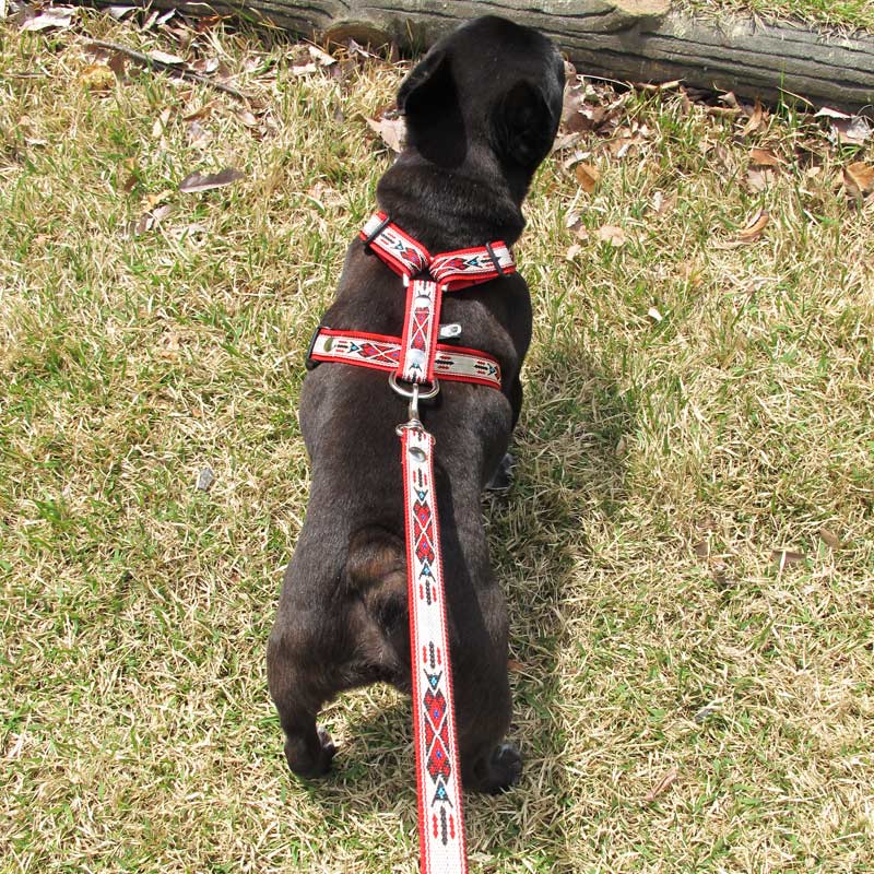 ���㥫����PP�ͥ��ƥ������꡼��A���֡ˡڥϡ��ͥ������ؤȤΥ᡼����Ʊ���ġ�