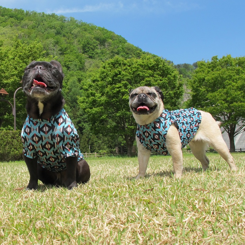 �⥶����������ߤ����ʥ����˥å����󥯥ȥåס�T�����2��or���󥯥ȥå�1���T�����1��ϥ᡼���زġ�