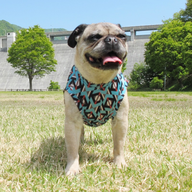 �⥶����������ߤ����ʥ����˥å����󥯥ȥåס�T�����2��or���󥯥ȥå�1���T�����1��ϥ᡼���زġ�