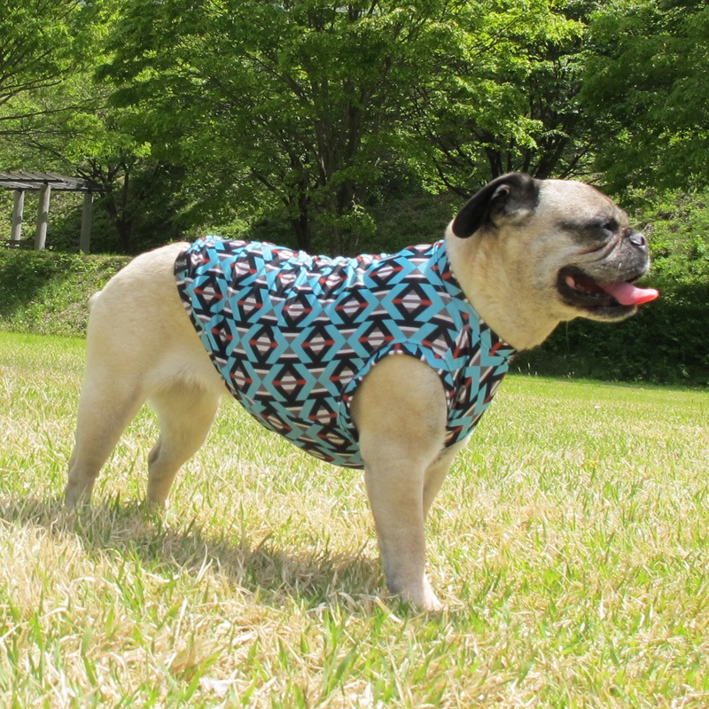 �⥶����������ߤ����ʥ����˥å����󥯥ȥåס�T�����2��or���󥯥ȥå�1���T�����1��ϥ᡼���زġ�