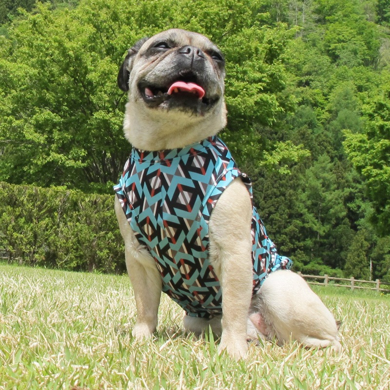 �⥶����������ߤ����ʥ����˥å����󥯥ȥåס�T�����2��or���󥯥ȥå�1���T�����1��ϥ᡼���زġ�