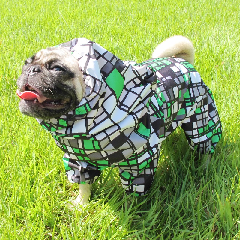 ⥶С˥쥤󥳡ȡ̡ɥաɡñʥ᡼ز/̡ɥաɤȤƱ᡼زġ