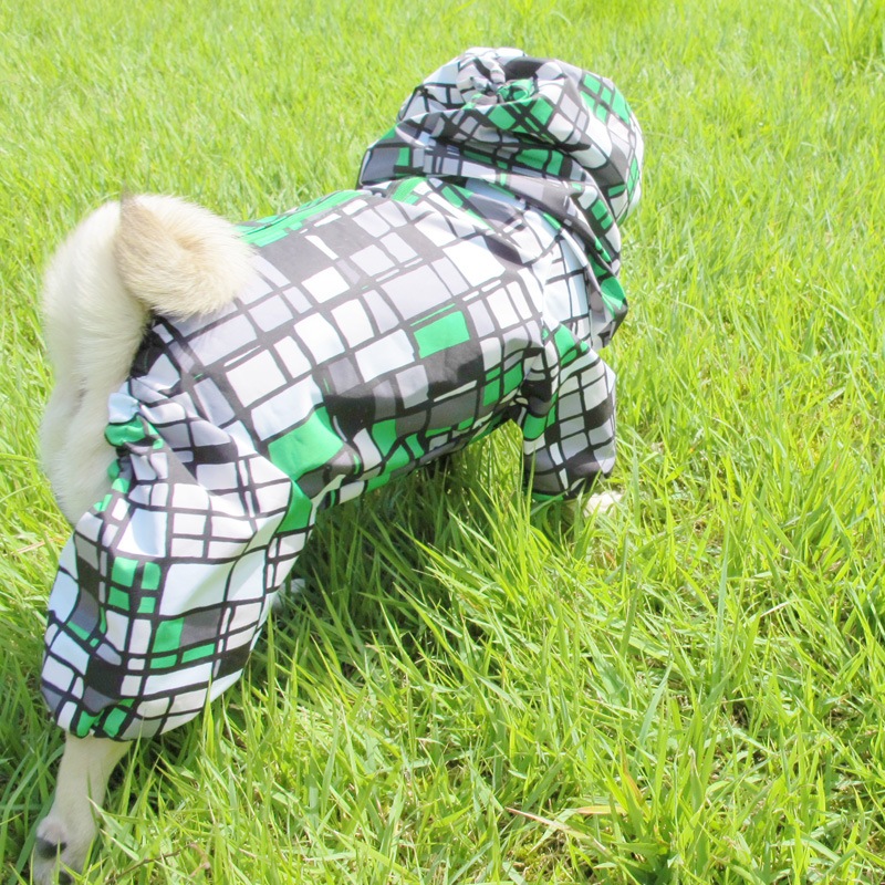 ⥶С˥쥤󥳡ȡ̡ɥաɡñʥ᡼ز/̡ɥաɤȤƱ᡼زġ