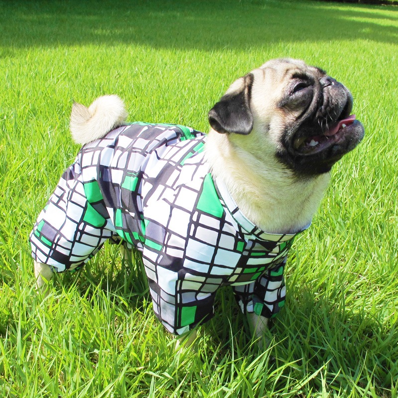 ⥶С˥쥤󥳡ȡ̡ɥաɡñʥ᡼ز/̡ɥաɤȤƱ᡼زġ