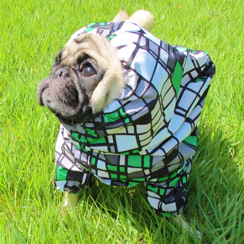 ⥶С˥쥤󥳡ȡ̡ɥաɡñʥ᡼ز/̡ɥաɤȤƱ᡼زġ