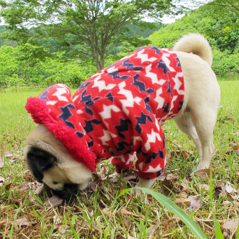 ����١������ե꡼���ѡ����ڥ᡼�����Բġ�