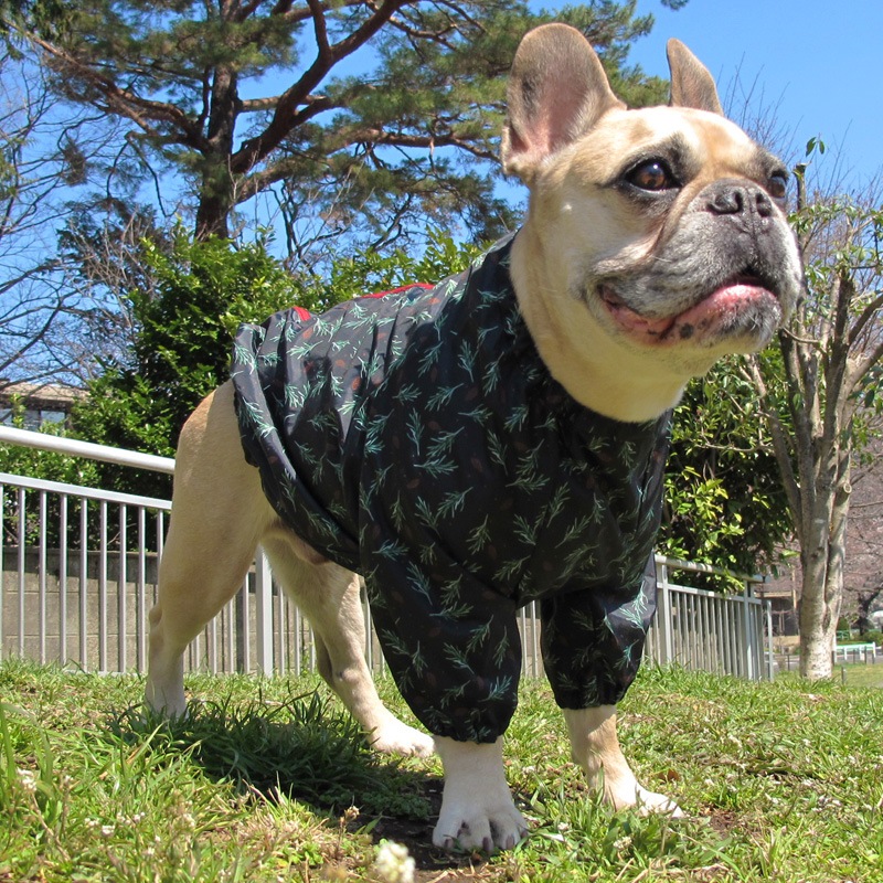 ���ܤä������ӤΤߥ쥤�󥳡��ȡ����̡��ɥա��ɡ�ñ�ʥ᡼���ز�/���̡��ɥա��ɤȤ�Ʊ���᡼���زġ�