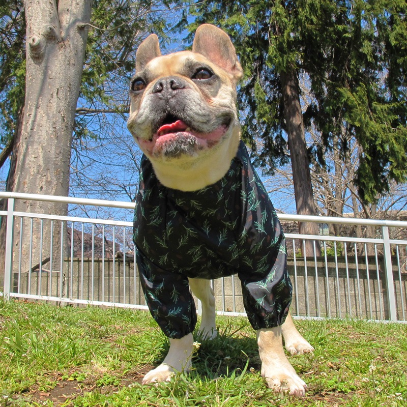 ���ܤä������ӤΤߥ쥤�󥳡��ȡ����̡��ɥա��ɡ�ñ�ʥ᡼���ز�/���̡��ɥա��ɤȤ�Ʊ���᡼���زġ�