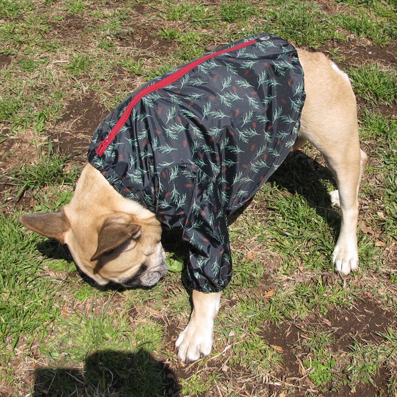 ���ܤä������ӤΤߥ쥤�󥳡��ȡ����̡��ɥա��ɡ�ñ�ʥ᡼���ز�/���̡��ɥա��ɤȤ�Ʊ���᡼���زġ�