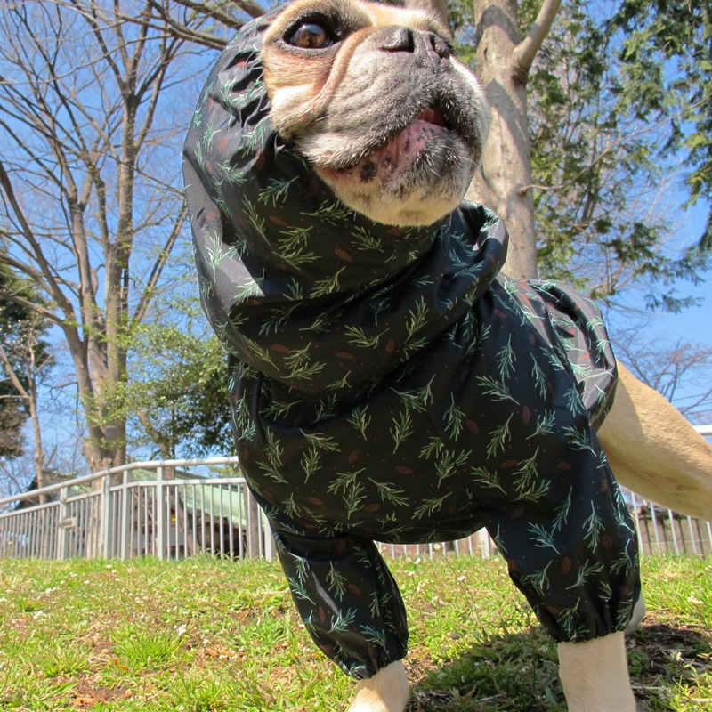 ���ܤä������ӤΤߥ쥤�󥳡��ȡ����̡��ɥա��ɡ�ñ�ʥ᡼���ز�/���̡��ɥա��ɤȤ�Ʊ���᡼���زġ�