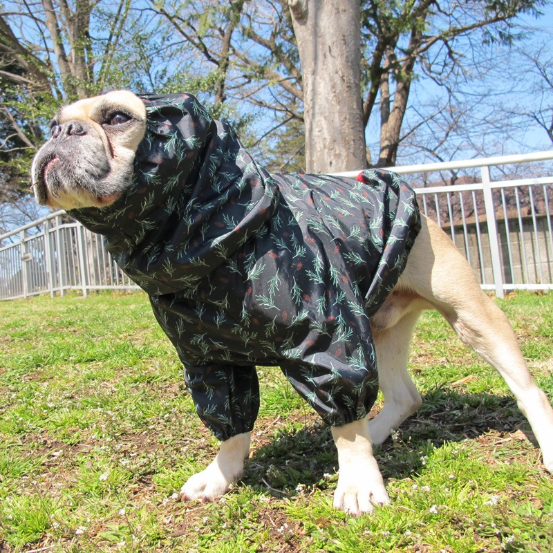 ���ܤä������ӤΤߥ쥤�󥳡��ȡ����̡��ɥա��ɡ�ñ�ʥ᡼���ز�/���̡��ɥա��ɤȤ�Ʊ���᡼���زġ�