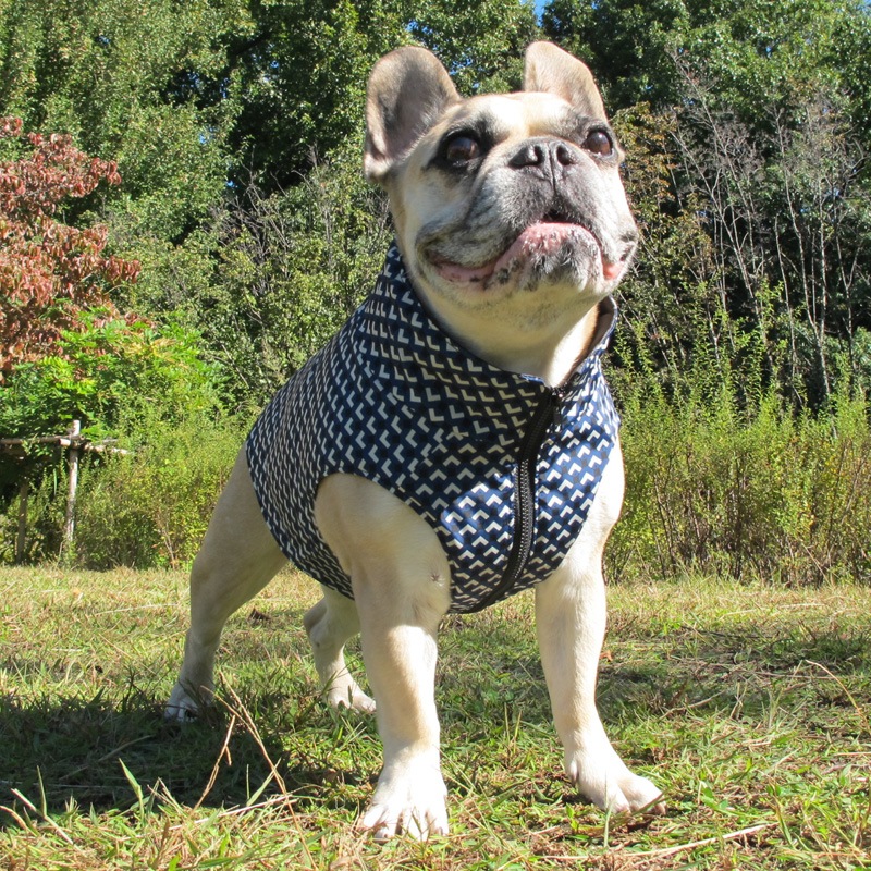 äȥץȥ٥ȡڰΤߥ᡼زġ