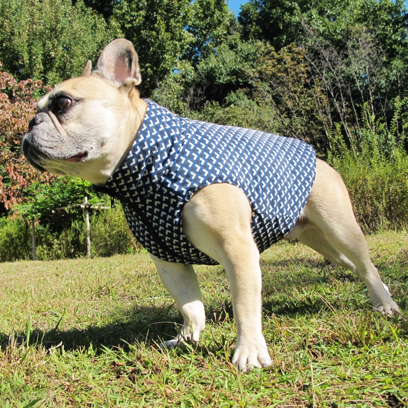 äȥץȥ٥ȡڰΤߥ᡼زġ