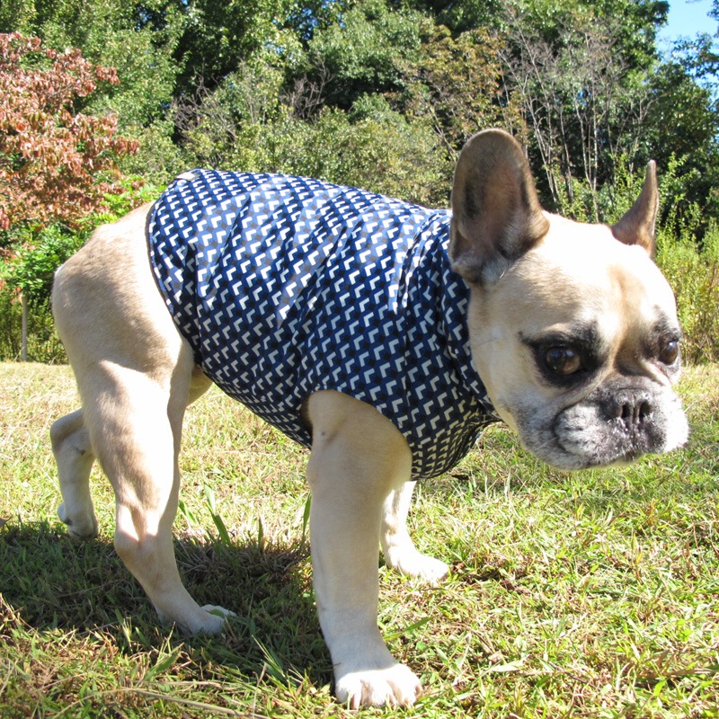 äȥץȥ٥ȡڰΤߥ᡼زġ