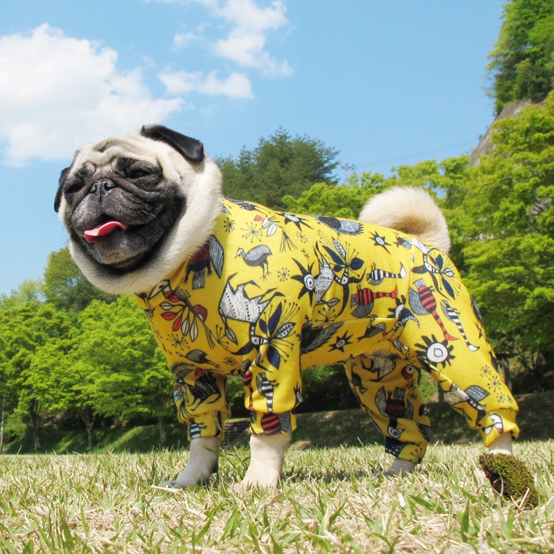 ����ؤ�ι�Ĥʤ��ڰ���Τߥ᡼���زġ�