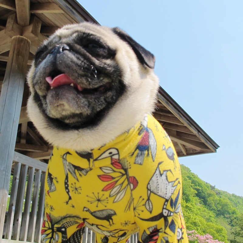 ����ؤ�ι�Ĥʤ��ڰ���Τߥ᡼���زġ�