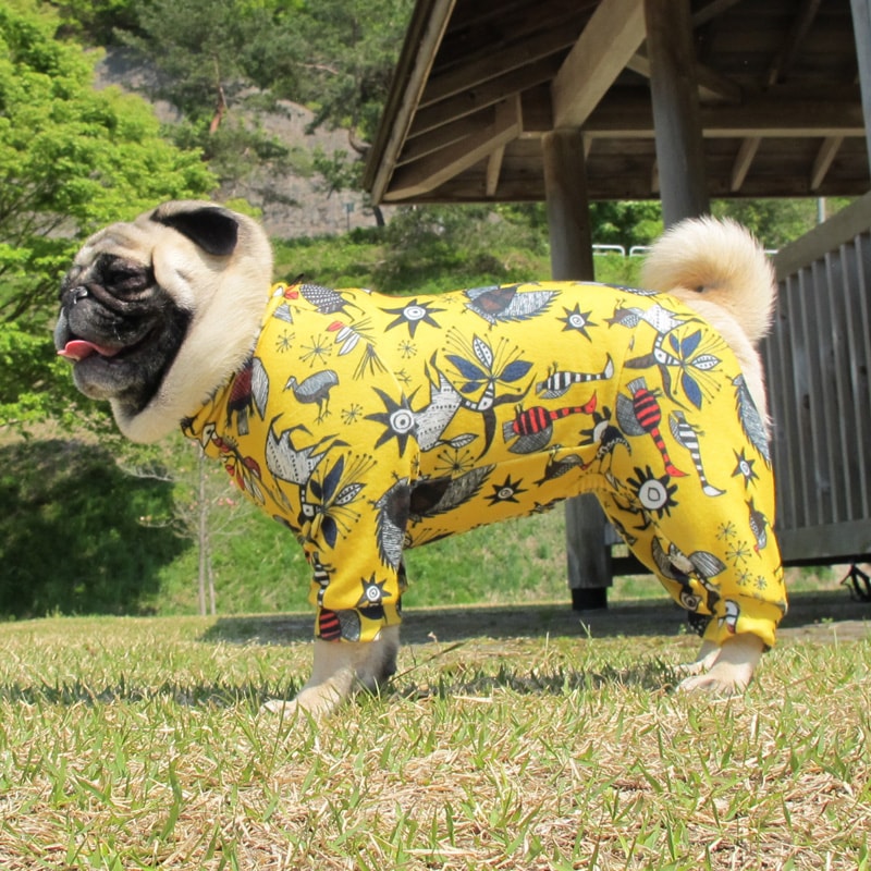 ����ؤ�ι�Ĥʤ��ڰ���Τߥ᡼���زġ�