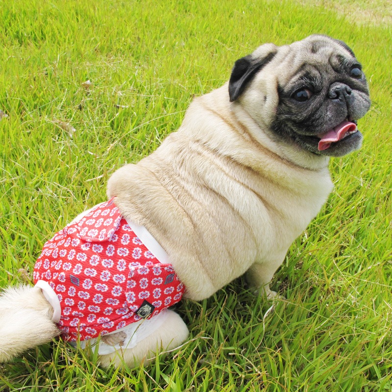 おむつカバー（赤プロヴァンス）【メール便可】 | おむつカバー