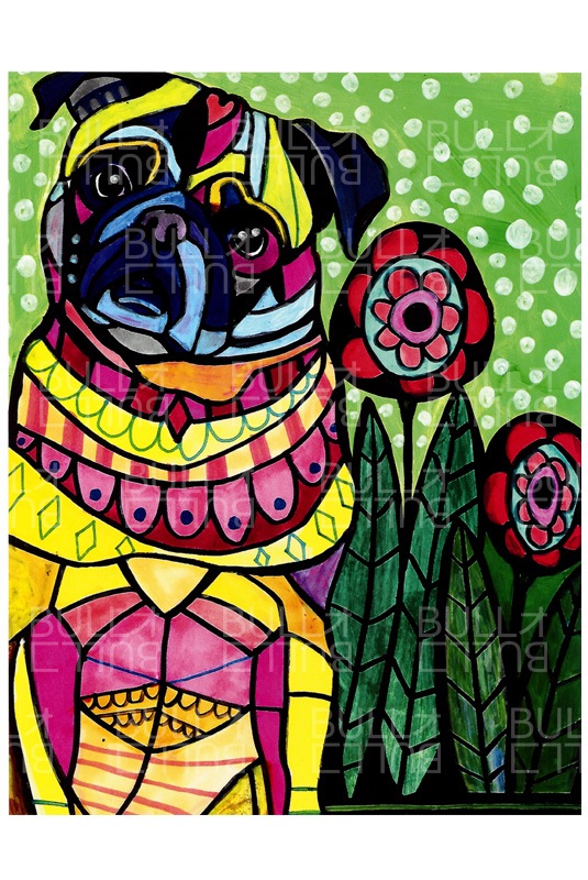 �ݥ��������ѥ�D�ڥ᡼�����Բġ�