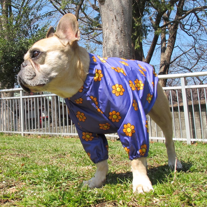 �ޡ�����åȡʻ�����ӤΤߥ쥤�󥳡��ȡ����̡��ɥա��ɡ�ñ�ʥ᡼���ز�/���̡��ɥա��ɤȤ�Ʊ���᡼���زġ�