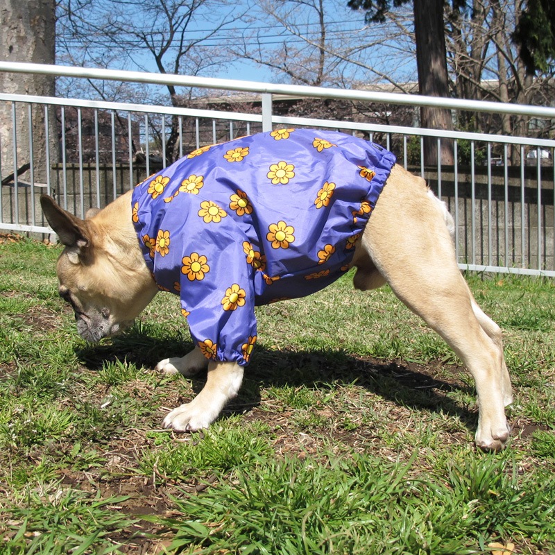 �ޡ�����åȡʻ�����ӤΤߥ쥤�󥳡��ȡ����̡��ɥա��ɡ�ñ�ʥ᡼���ز�/���̡��ɥա��ɤȤ�Ʊ���᡼���زġ�