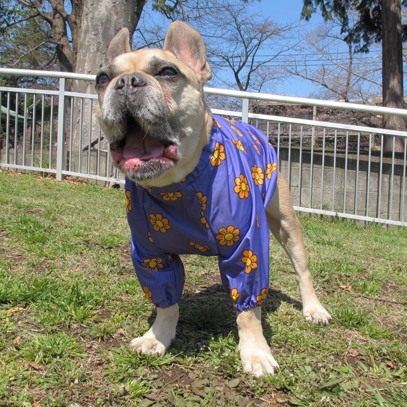 �ޡ�����åȡʻ�����ӤΤߥ쥤�󥳡��ȡ����̡��ɥա��ɡ�ñ�ʥ᡼���ز�/���̡��ɥա��ɤȤ�Ʊ���᡼���زġ�