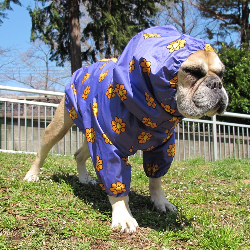 �ޡ�����åȡʻ�����ӤΤߥ쥤�󥳡��ȡ����̡��ɥա��ɡ�ñ�ʥ᡼���ز�/���̡��ɥա��ɤȤ�Ʊ���᡼���زġ�