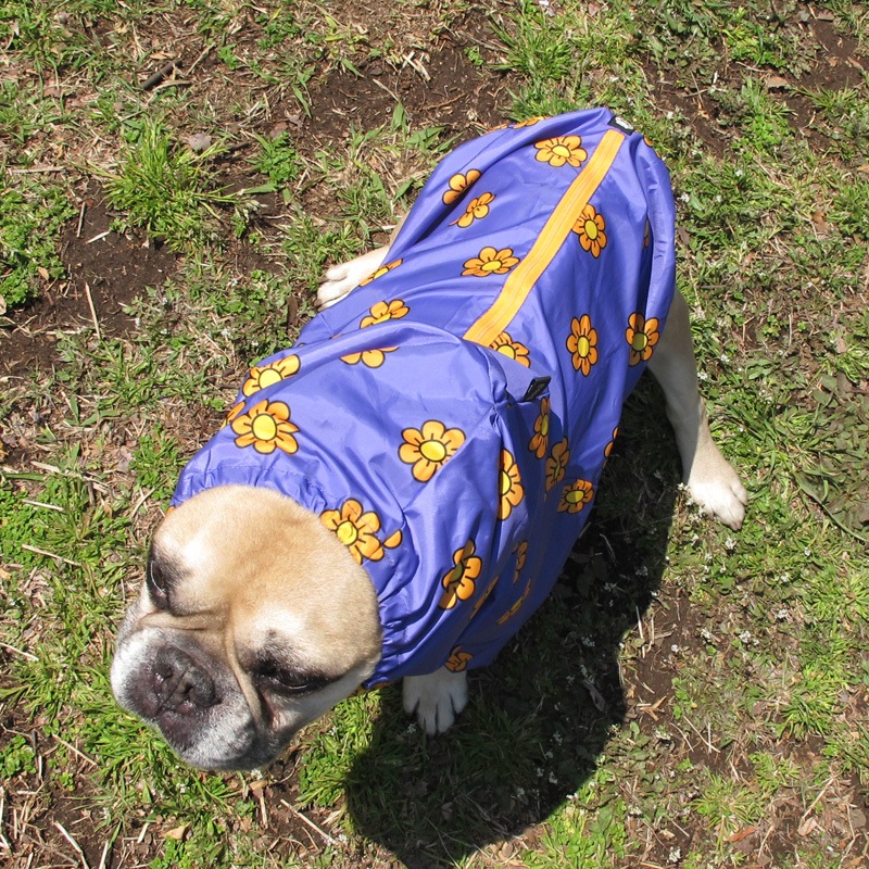 �ޡ�����åȡʻ�����ӤΤߥ쥤�󥳡��ȡ����̡��ɥա��ɡ�ñ�ʥ᡼���ز�/���̡��ɥա��ɤȤ�Ʊ���᡼���زġ�