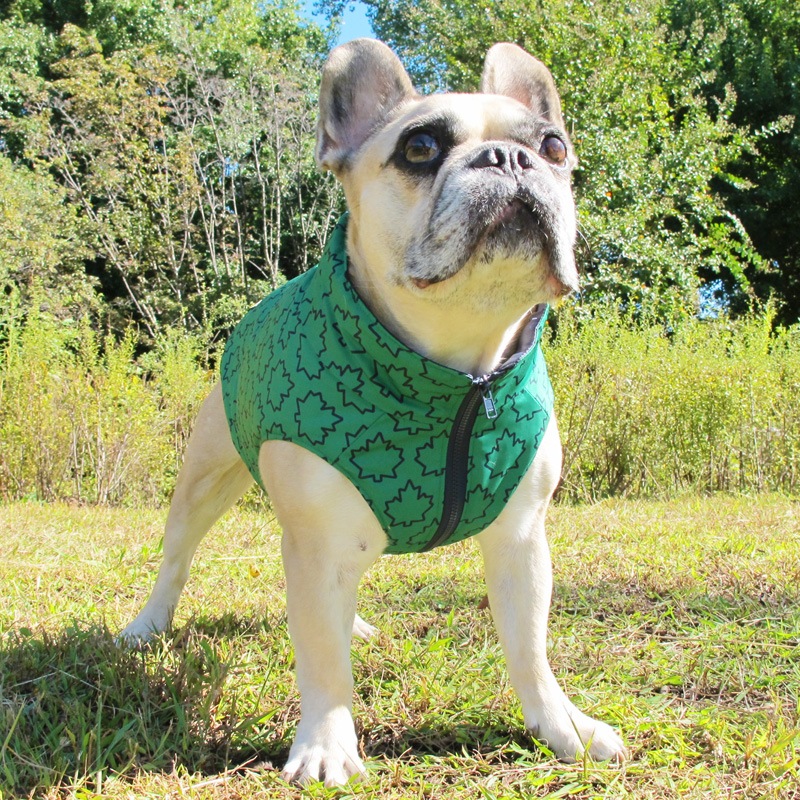 ᥤץ꡼եץȥ٥ȡڰΤߥ᡼زġ