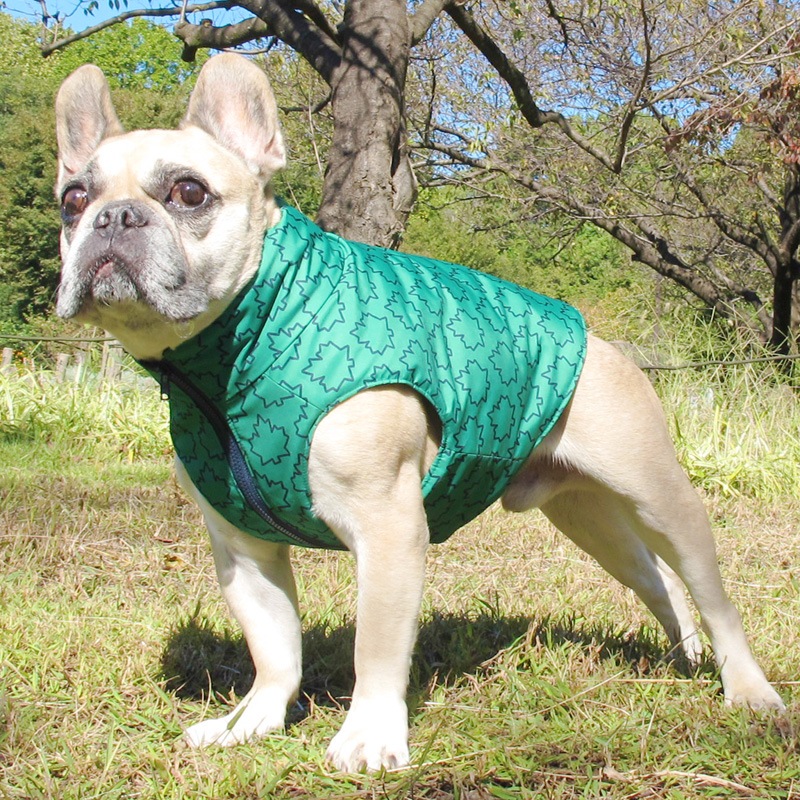 ᥤץ꡼եץȥ٥ȡڰΤߥ᡼زġ