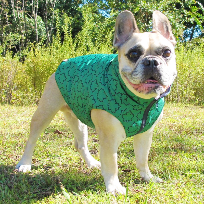 ᥤץ꡼եץȥ٥ȡڰΤߥ᡼زġ