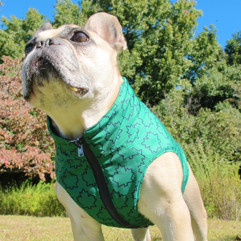 ᥤץ꡼եץȥ٥ȡڰΤߥ᡼زġ