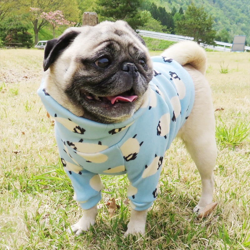 �Ӥ����äѤ��ȥ졼�ʡ��ڰ���Τߥ᡼���زġ�