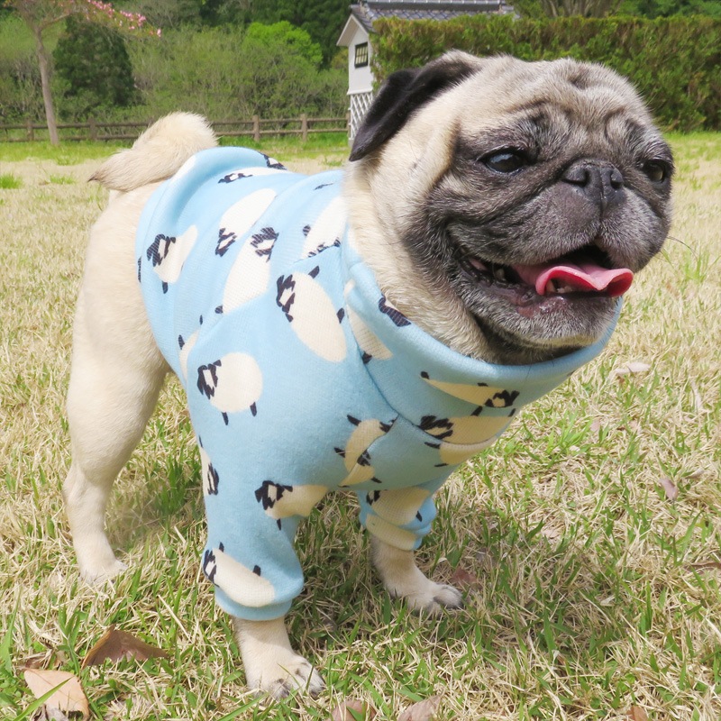 �Ӥ����äѤ��ȥ졼�ʡ��ڰ���Τߥ᡼���زġ�