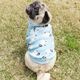 �Ӥ����äѤ��ȥ졼�ʡ��ڰ���Τߥ᡼���زġ�