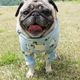 �Ӥ����äѤ��ȥ졼�ʡ��ڰ���Τߥ᡼���زġ�