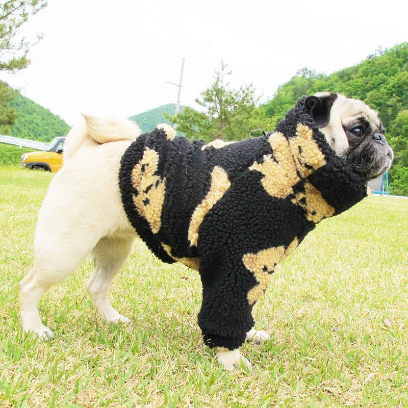 �⤳�⤳���ޤ���ȥ졼�ʡ��ڥ᡼�����Բġ�