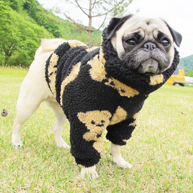 �⤳�⤳���ޤ���ȥ졼�ʡ��ڥ᡼�����Բġ�